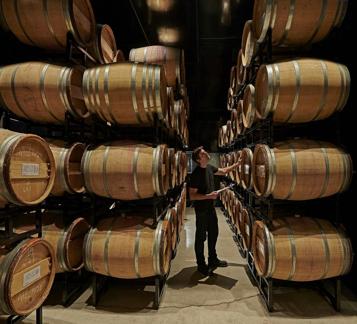A man inspecting wine barrels